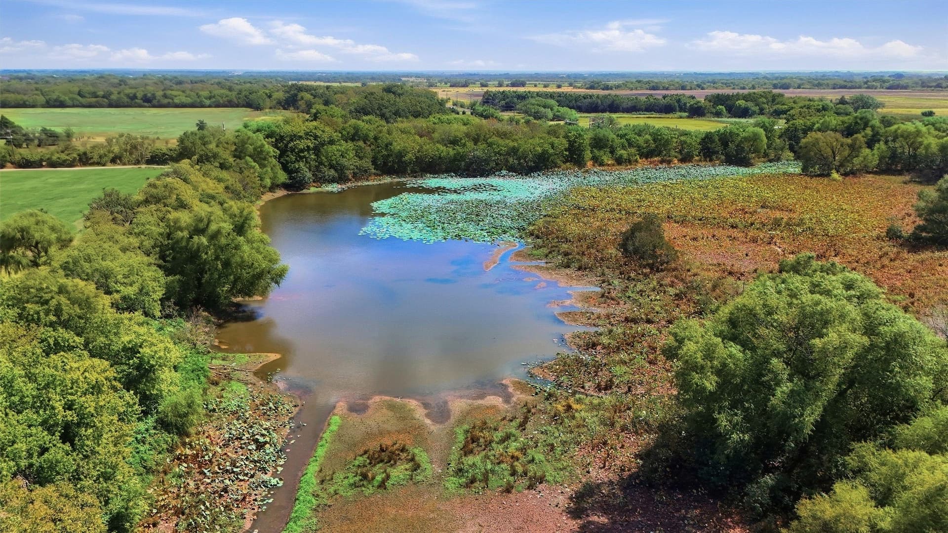 144.61 acres in Grayson County - photo 19