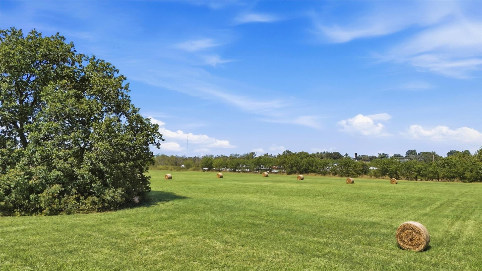 144.61 acres in Grayson County - photo 16