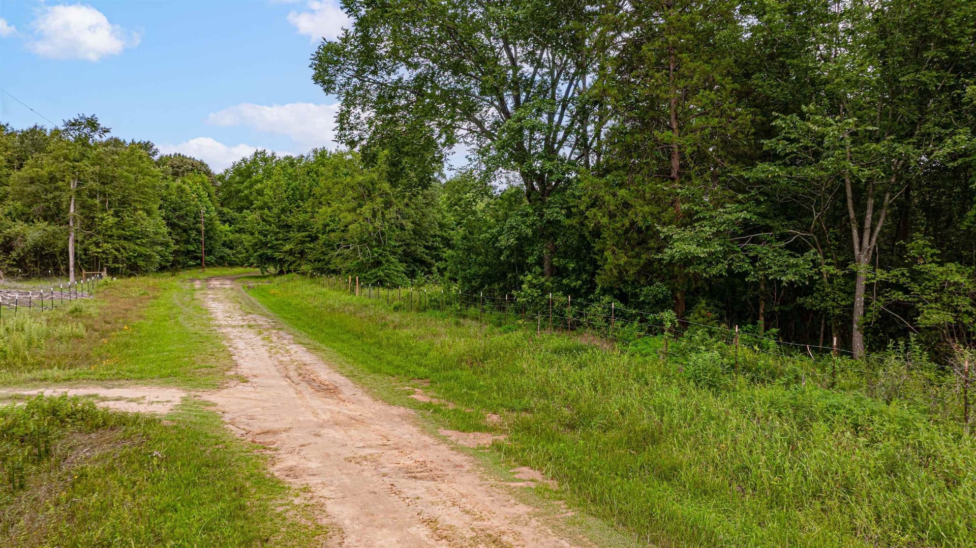 4.64 acres in Harrison County - photo 16
