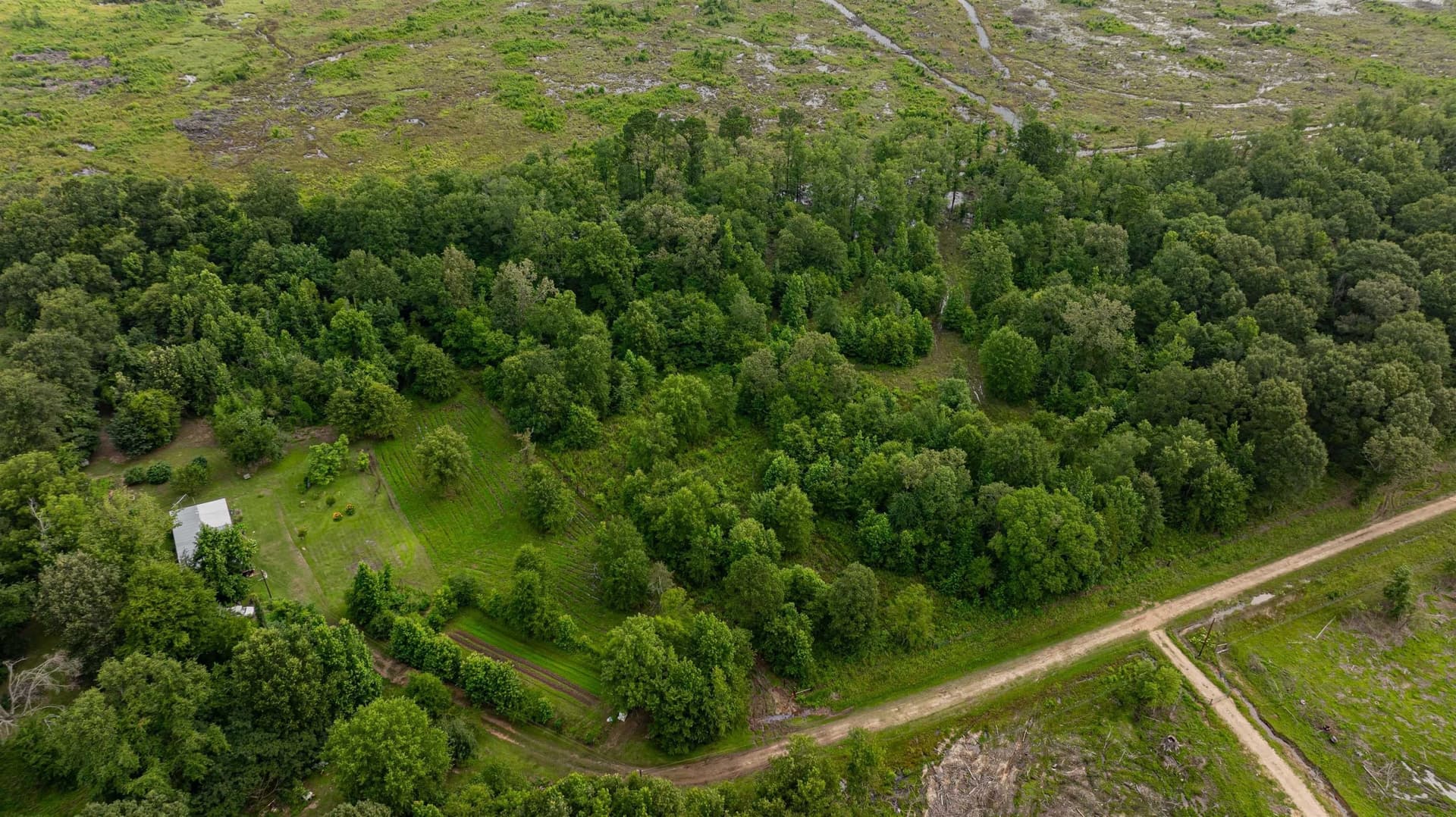 4.64 acres in Harrison County - photo 19