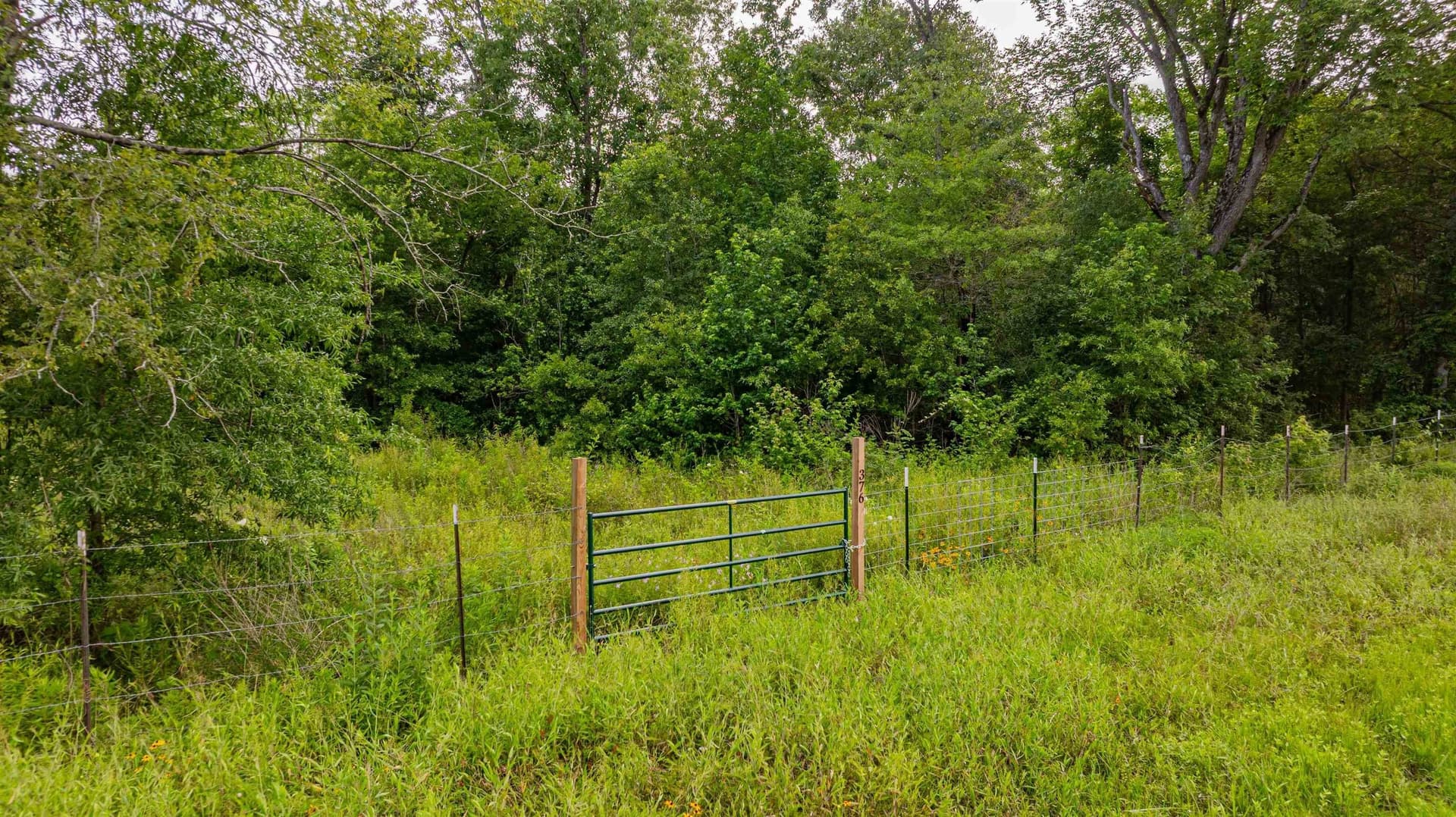 4.64 acres in Harrison County - photo 17