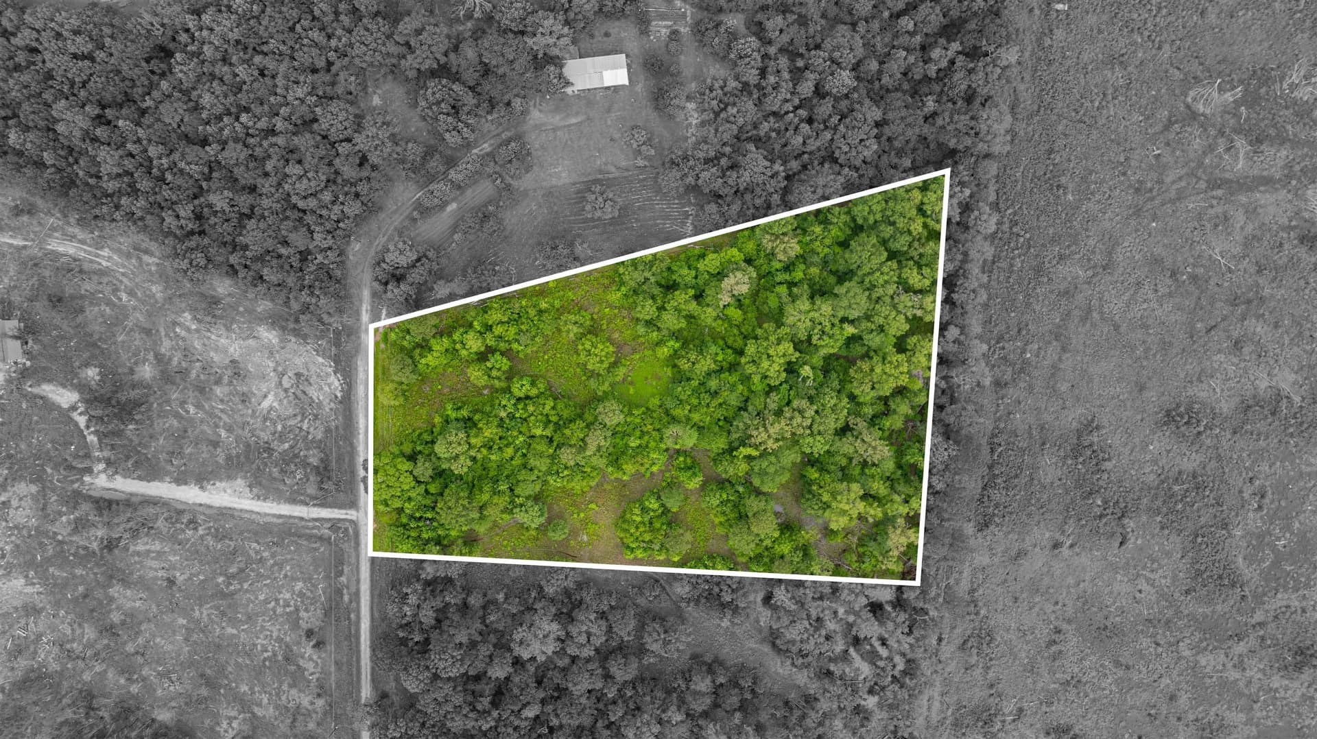 4.64 acres in Harrison County - photo 26