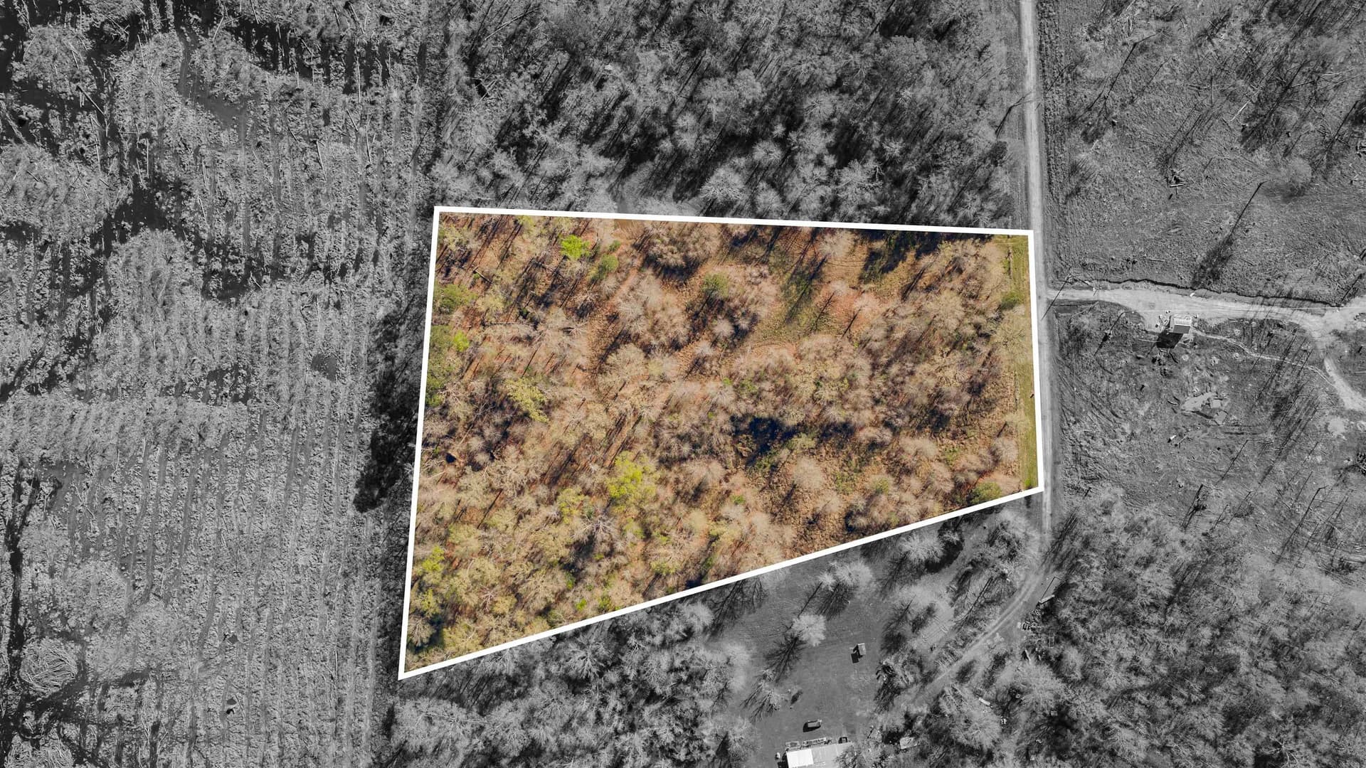 4.64 acres in Harrison County - photo 13