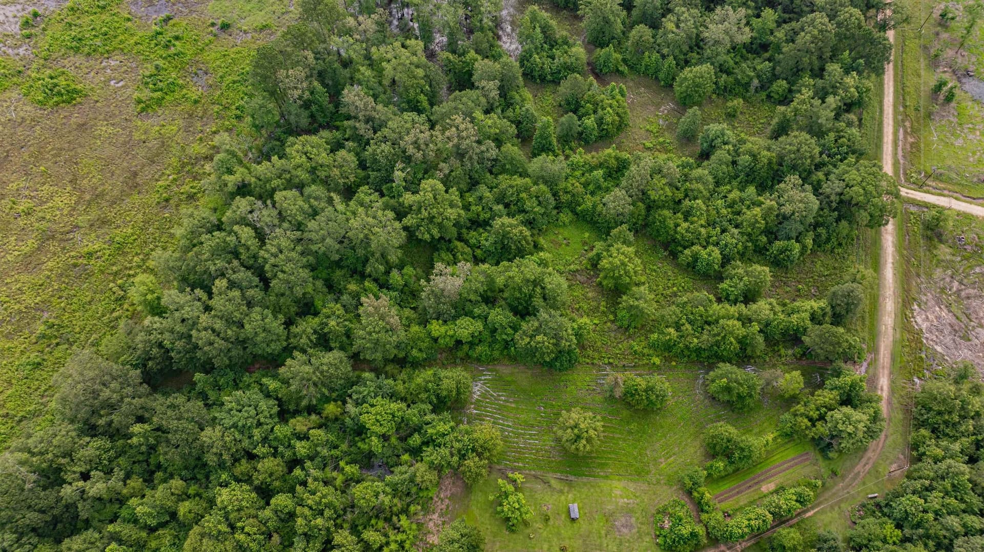4.64 acres in Harrison County - photo 20