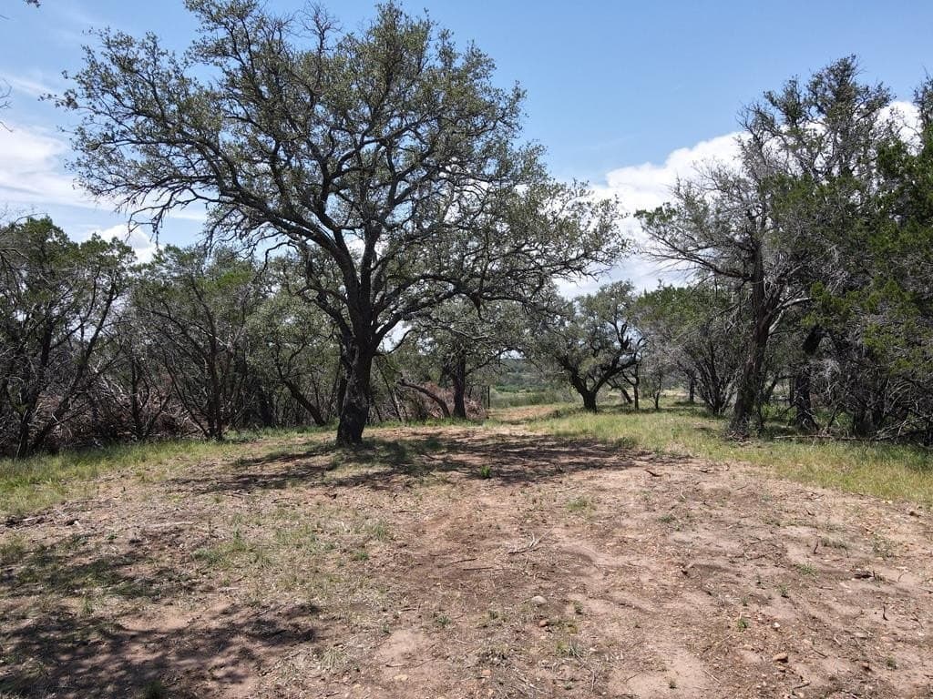 5 acres in Burnet County - photo 18