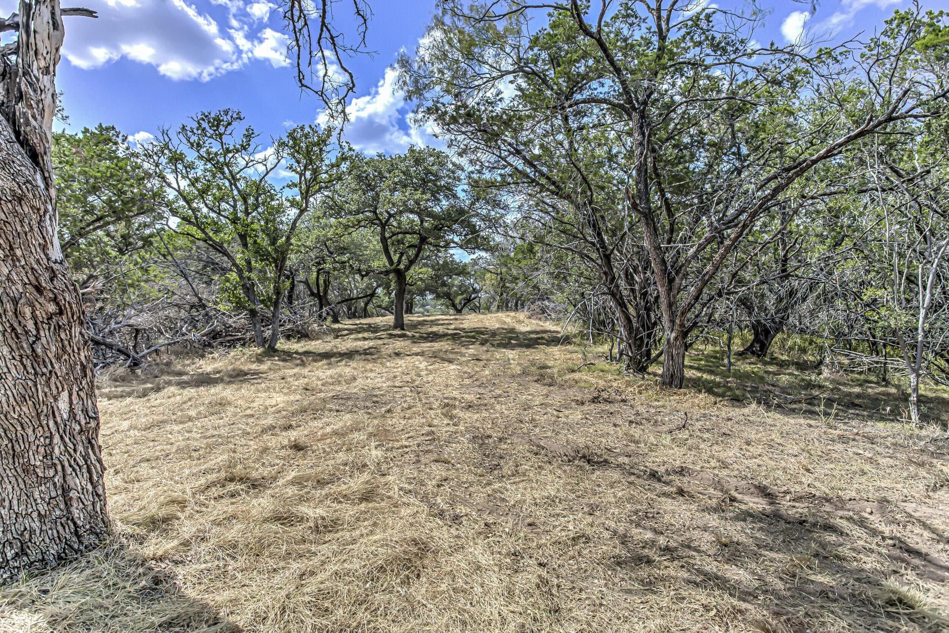 5 acres in Burnet County - photo 7