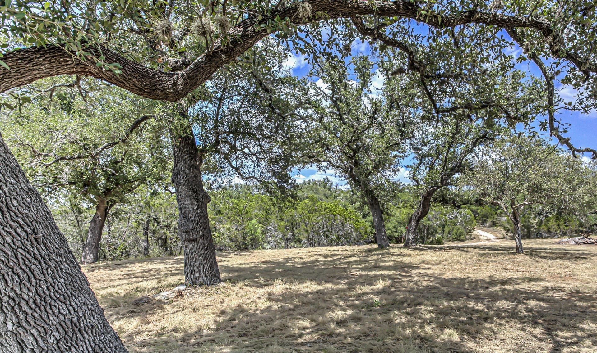 5 acres in Burnet County - photo 8