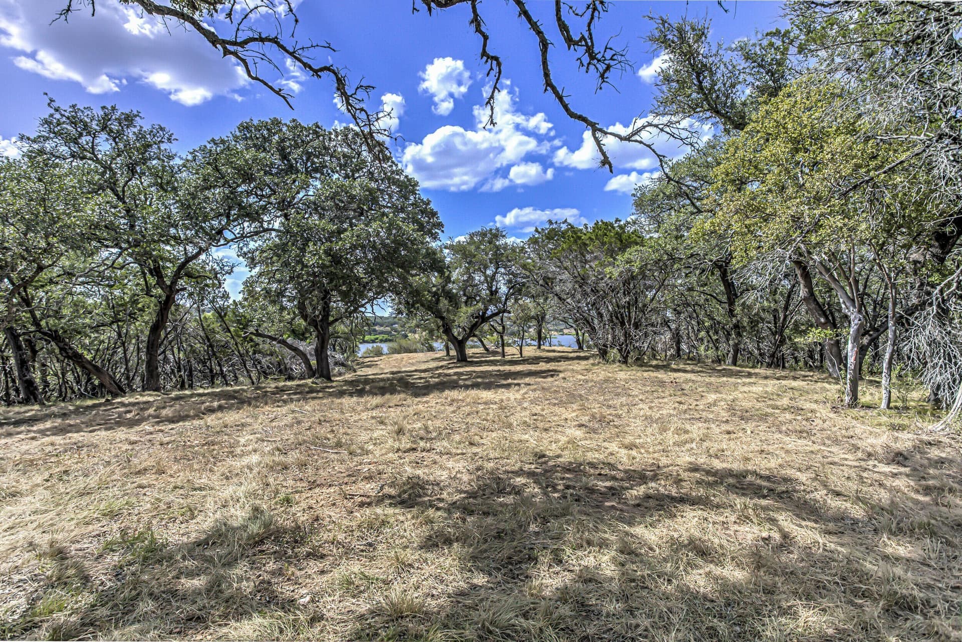 5 acres in Burnet County - photo 6