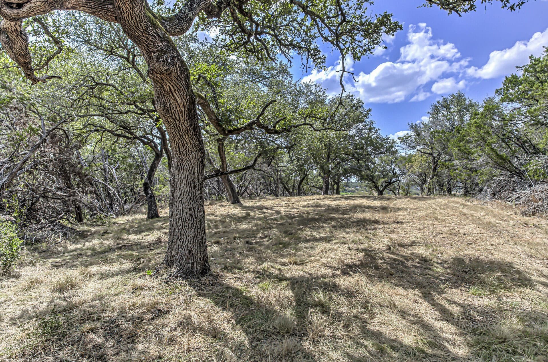 5 acres in Burnet County - photo 9