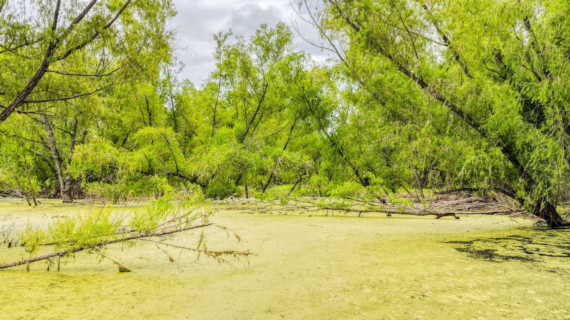 107 acres in Bosque County - photo 9