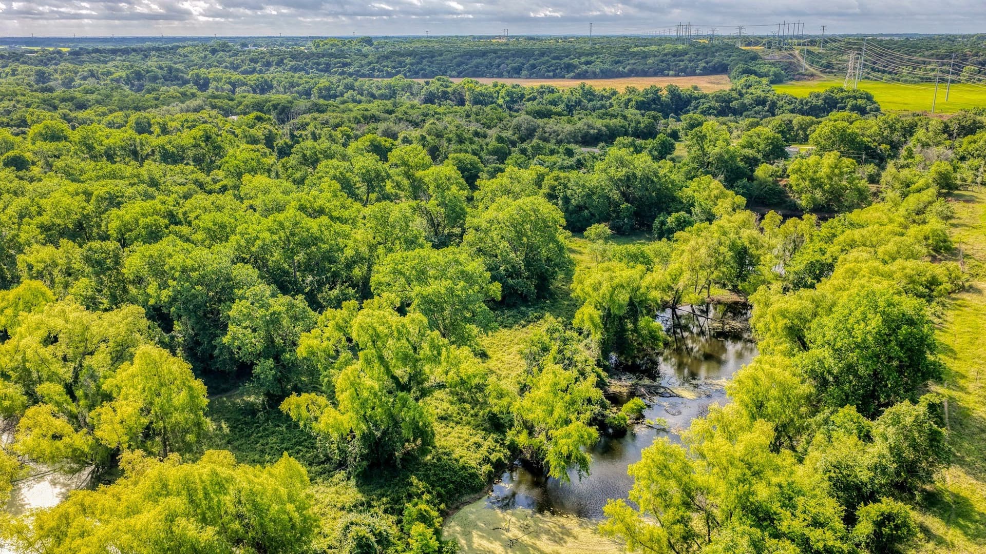 107 acres in Bosque County - photo 36