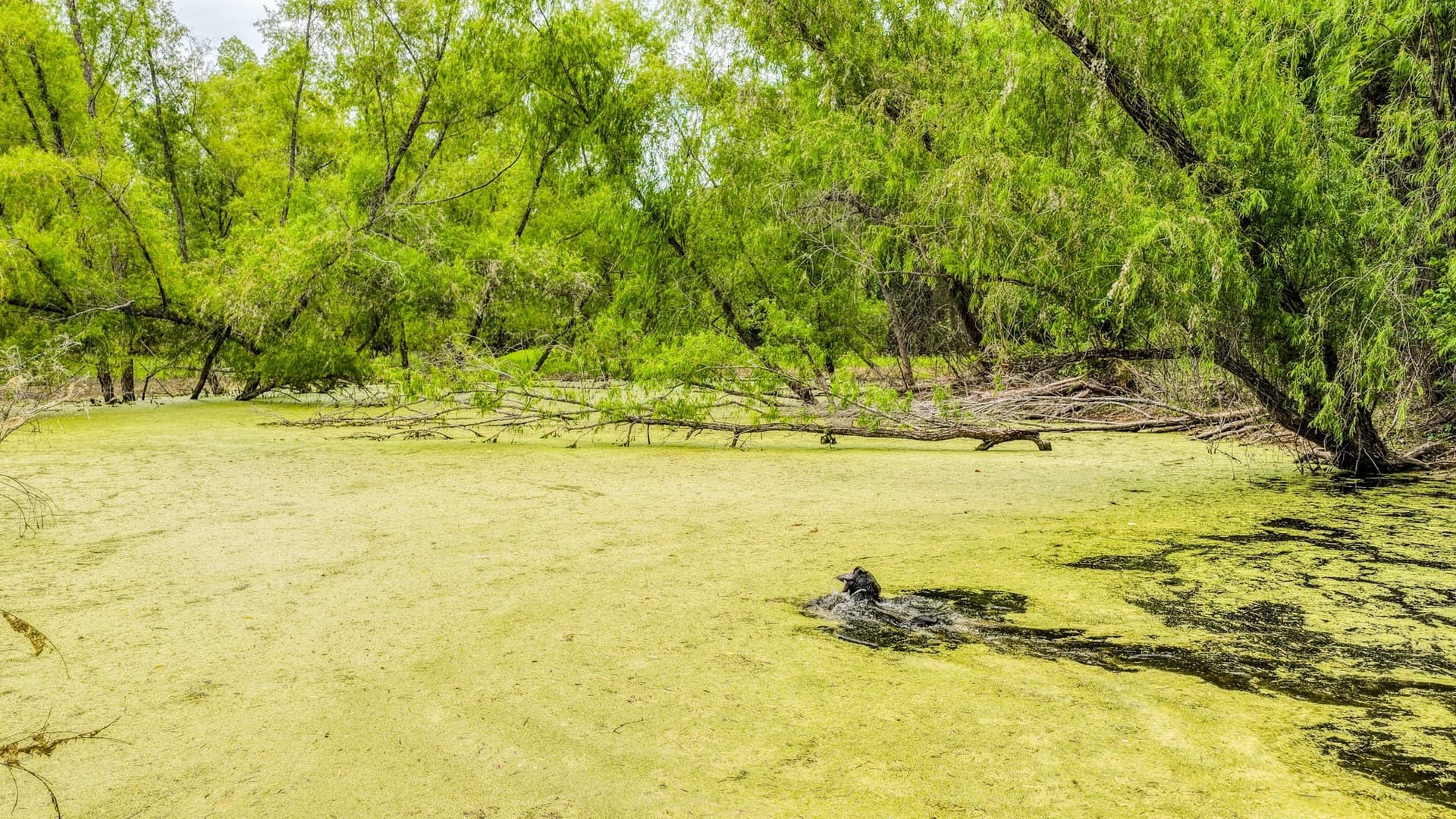 107 acres in Bosque County - photo 10