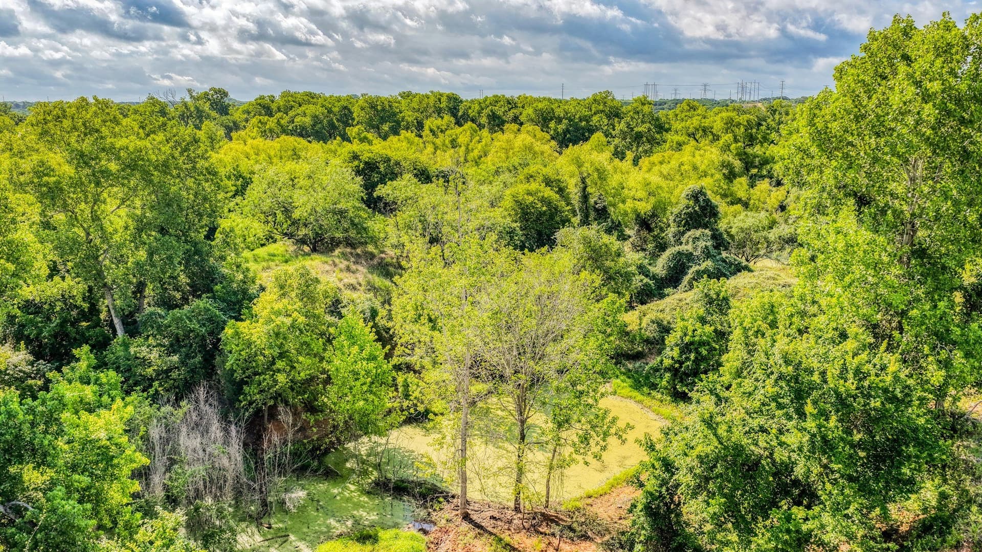 107 acres in Bosque County - photo 28
