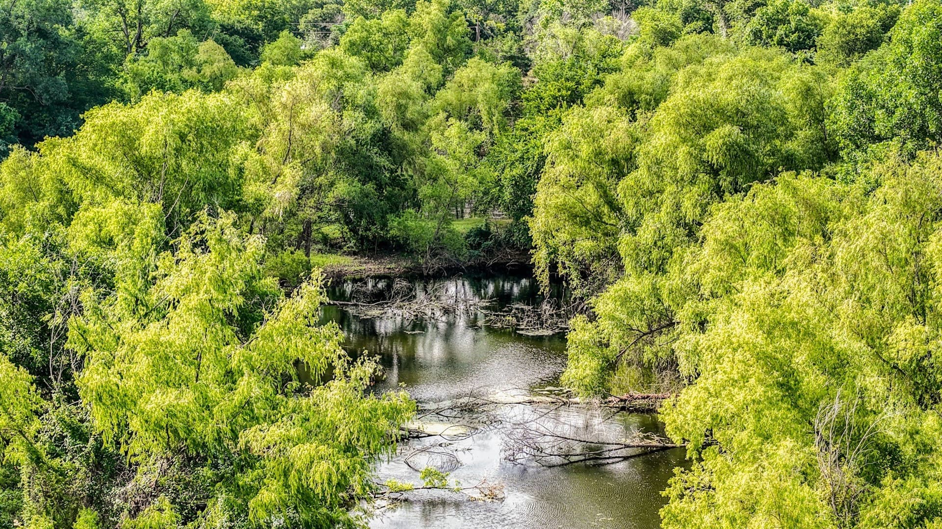 107 acres in Bosque County - photo 34