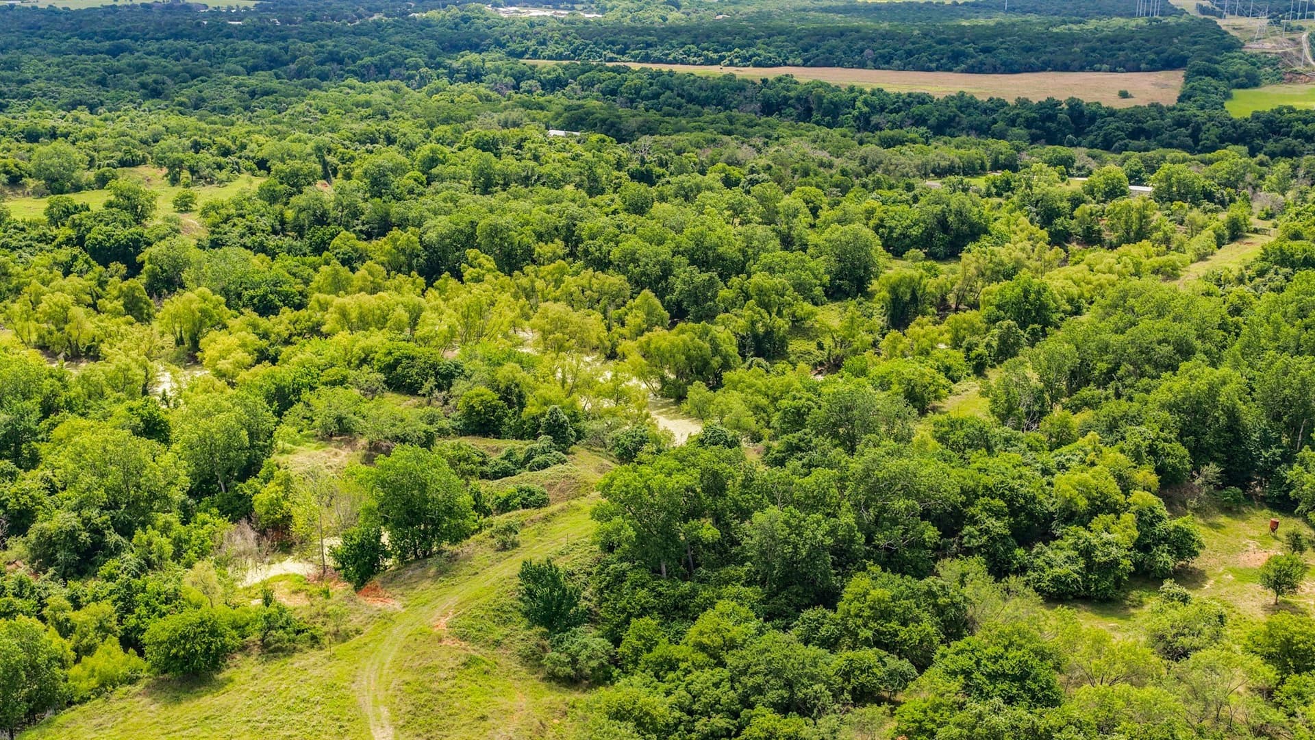 107 acres in Bosque County - photo 3