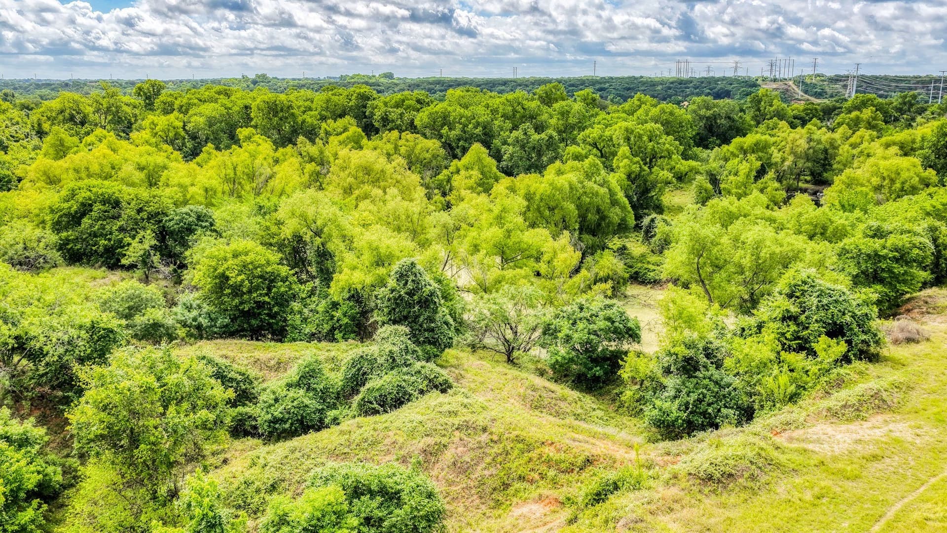 107 acres in Bosque County - photo 12