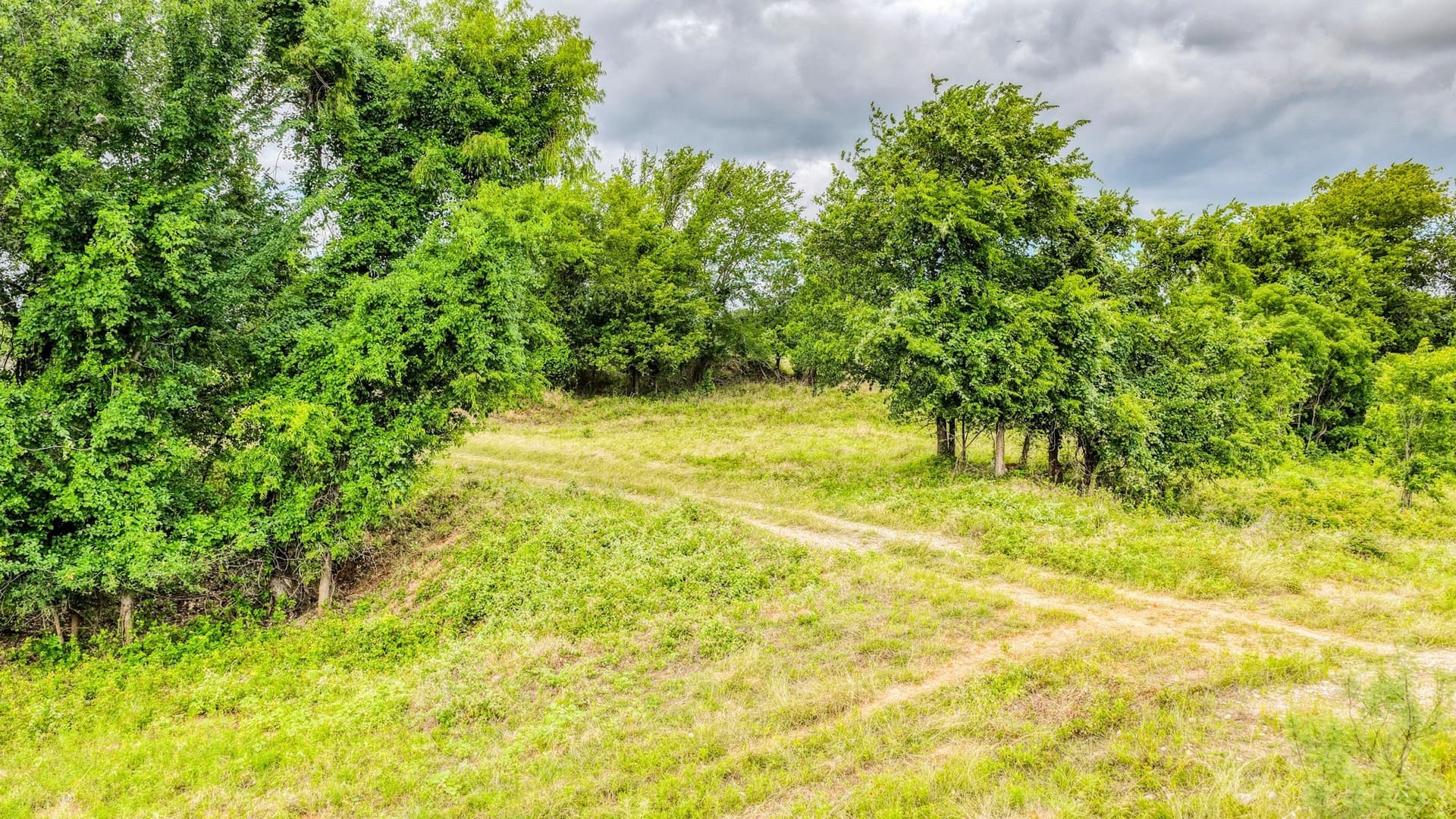 107 acres in Bosque County - photo 6
