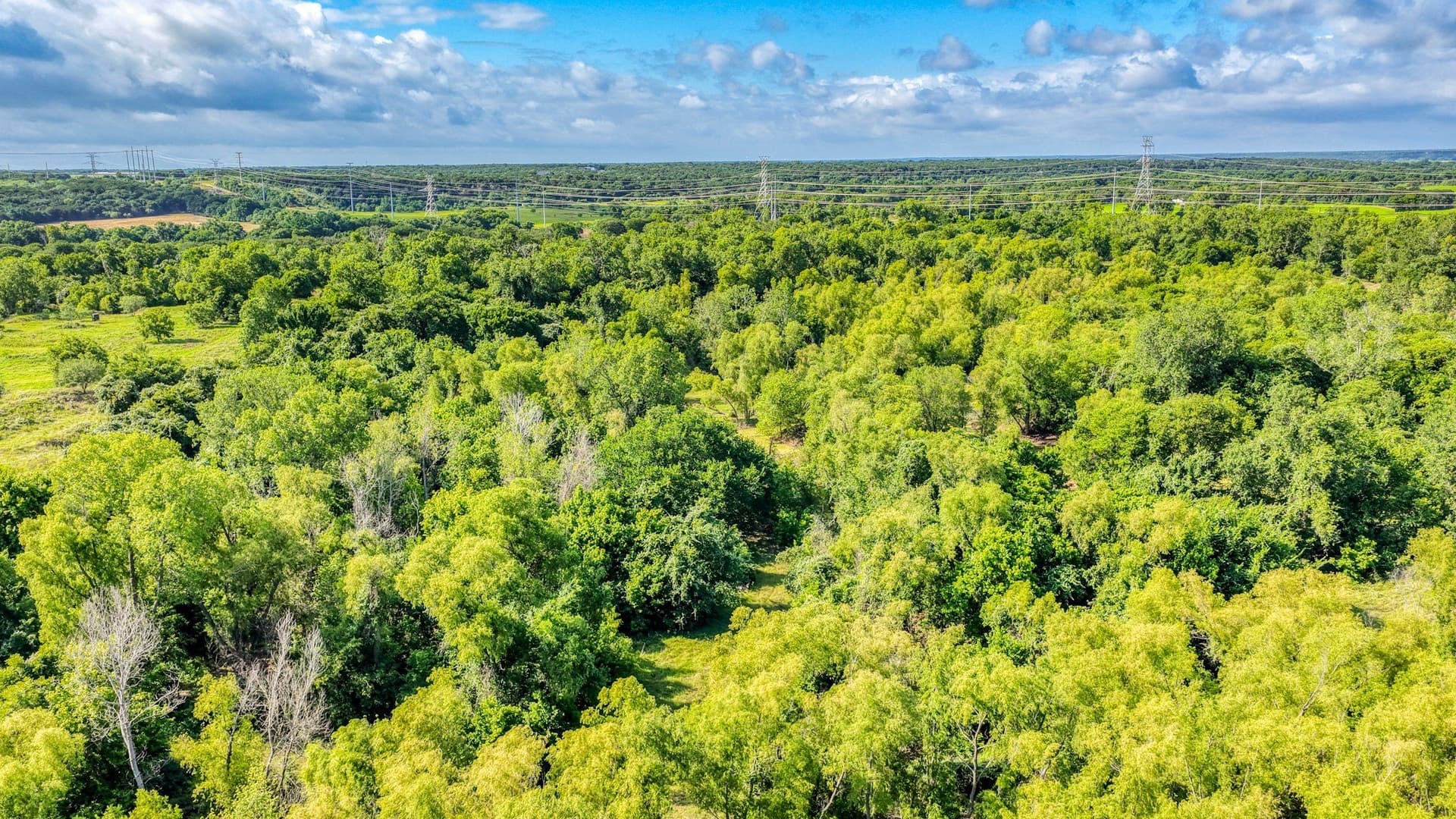 107 acres in Bosque County - photo 33