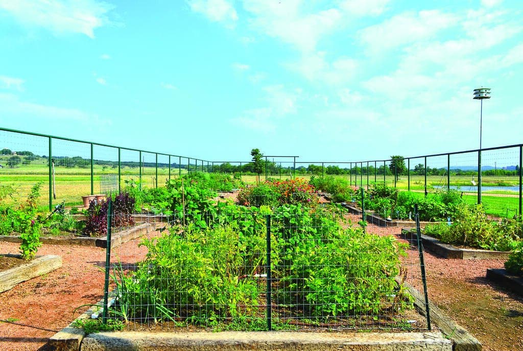 0.18 acres in Kerr County - photo 10
