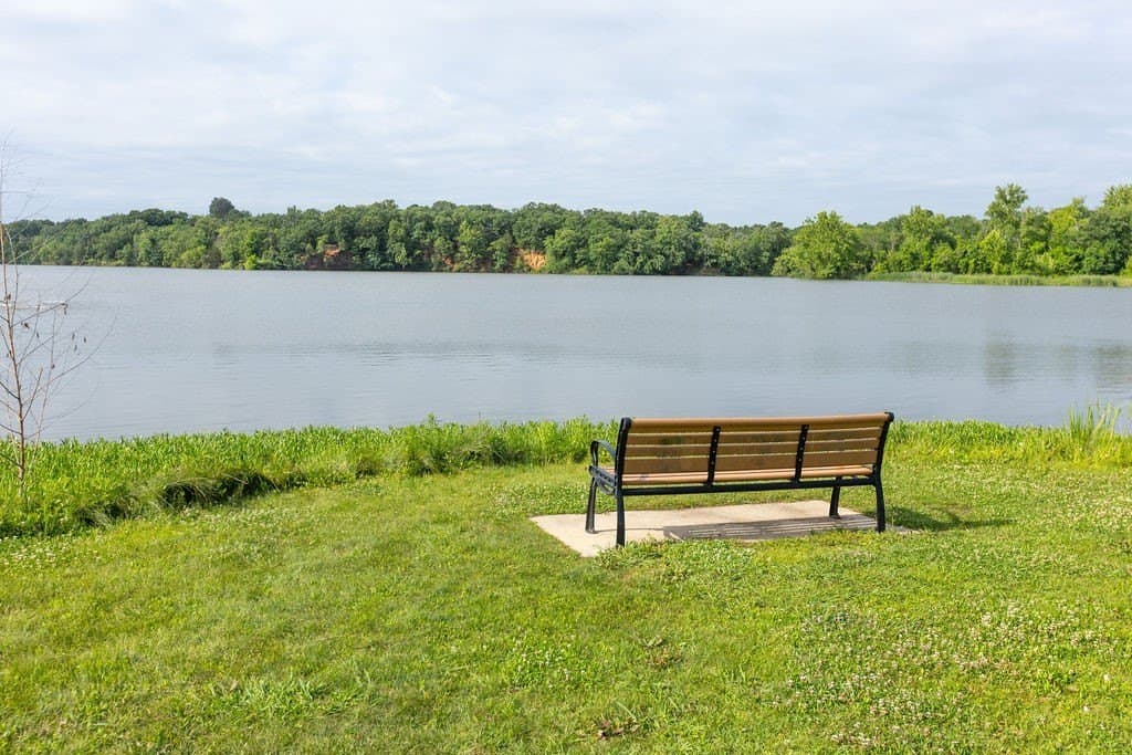 0.79 acres in Grayson County - photo 10
