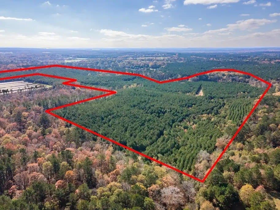 171.39 acres in Texas County - photo 6