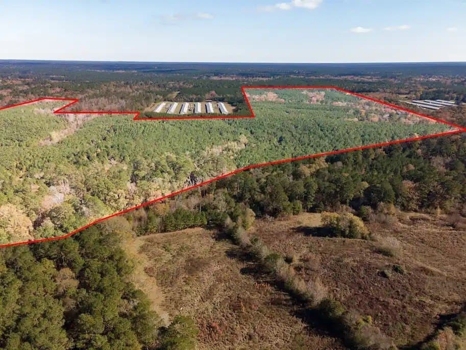 171.39 acres in Texas County - photo 3