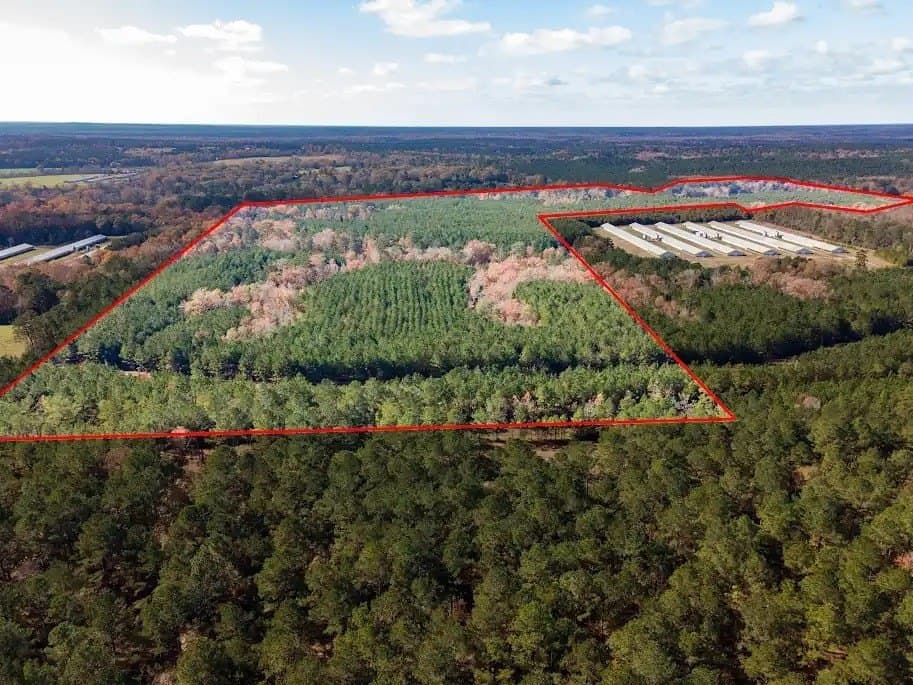 171.39 acres in Texas County - photo 5