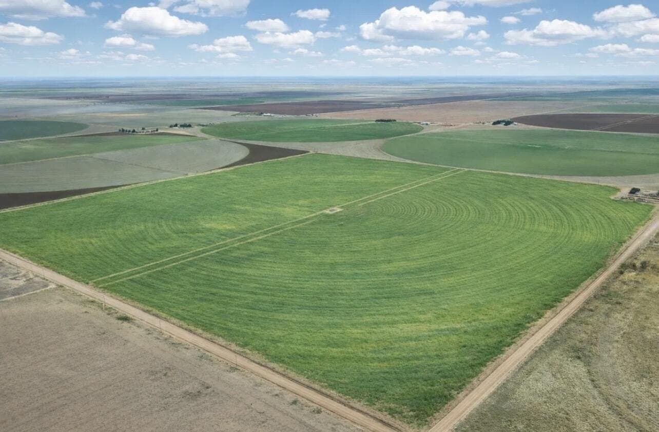10 acres in Lynn County