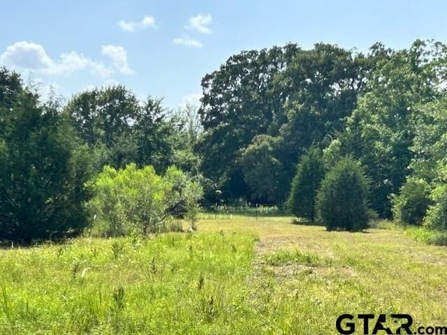 24.96 acres in Van Zandt County - photo 22