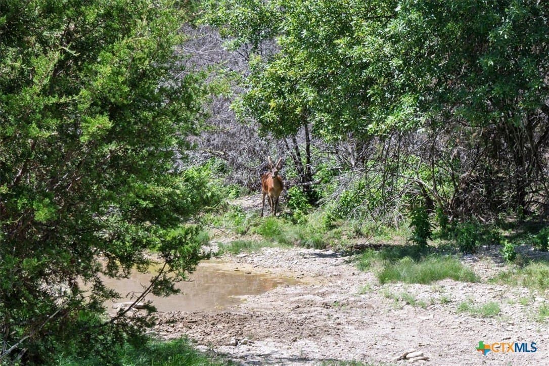 366.47 acres in Burnet County - photo 27