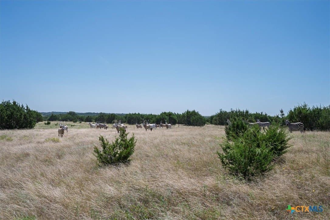 366.47 acres in Burnet County - photo 40