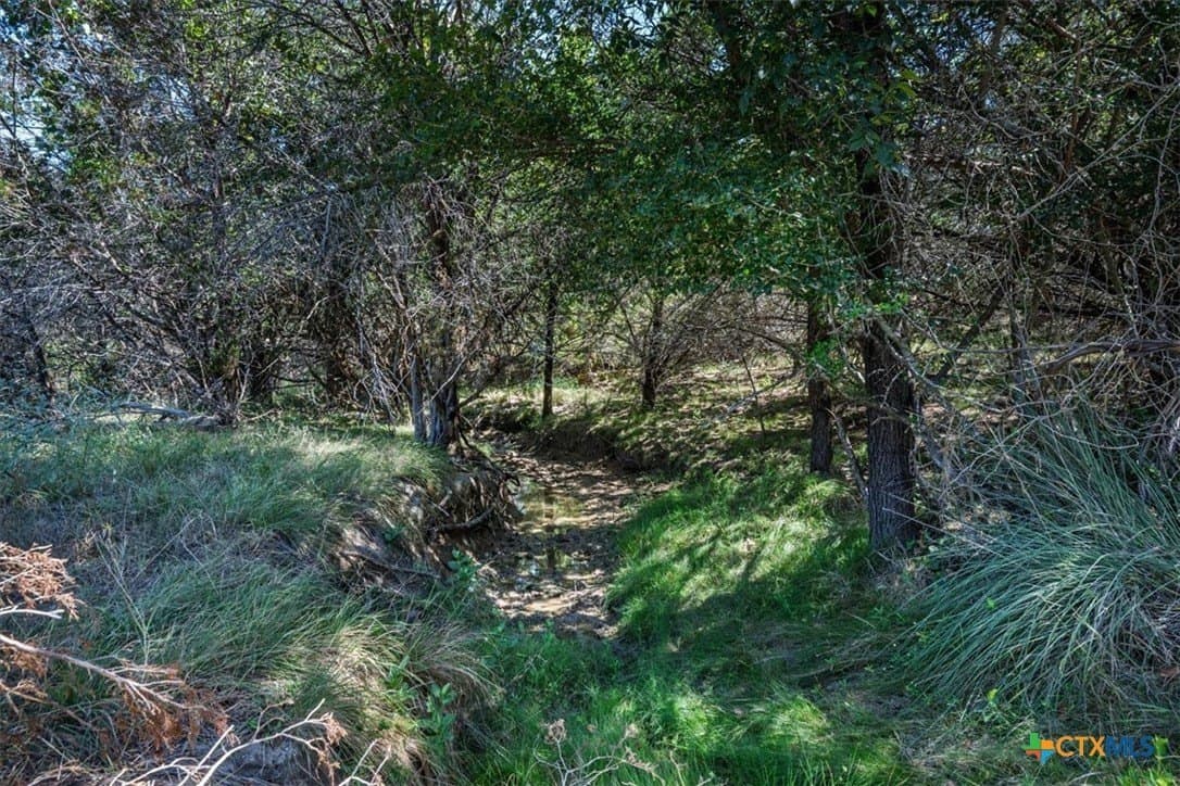 366.47 acres in Burnet County - photo 38