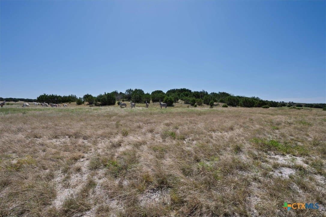 366.47 acres in Burnet County - photo 35