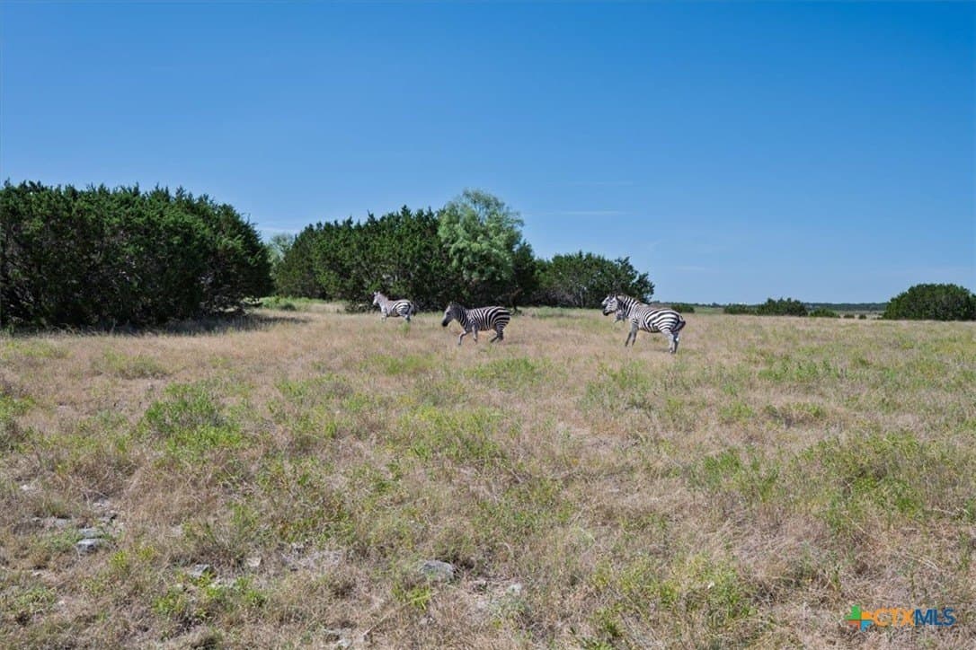 366.47 acres in Burnet County - photo 37