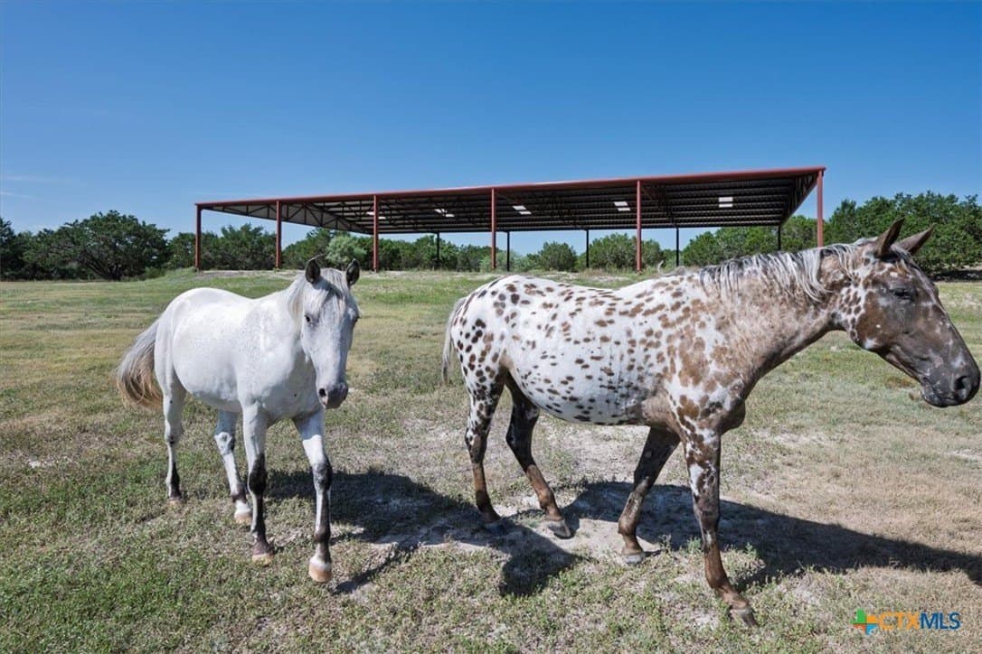 366.47 acres in Burnet County - photo 30