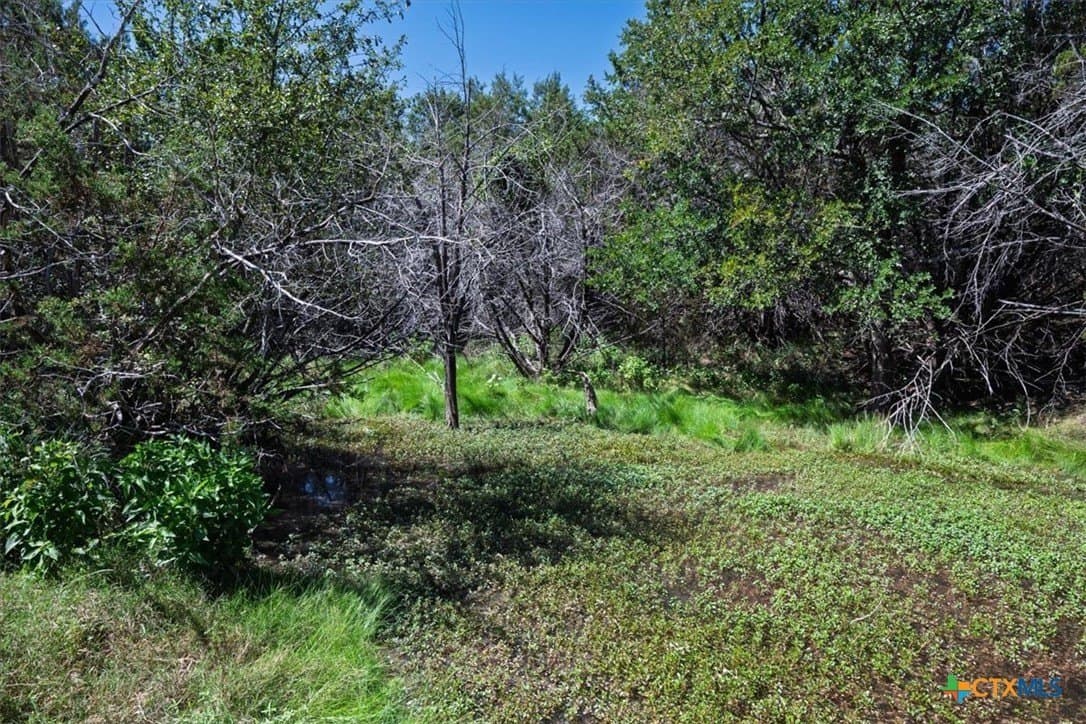 366.47 acres in Burnet County - photo 39