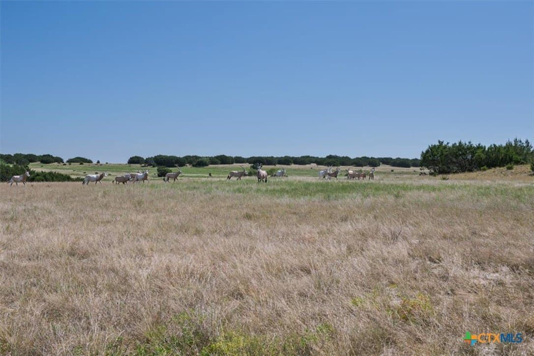 366.47 acres in Burnet County - photo 34
