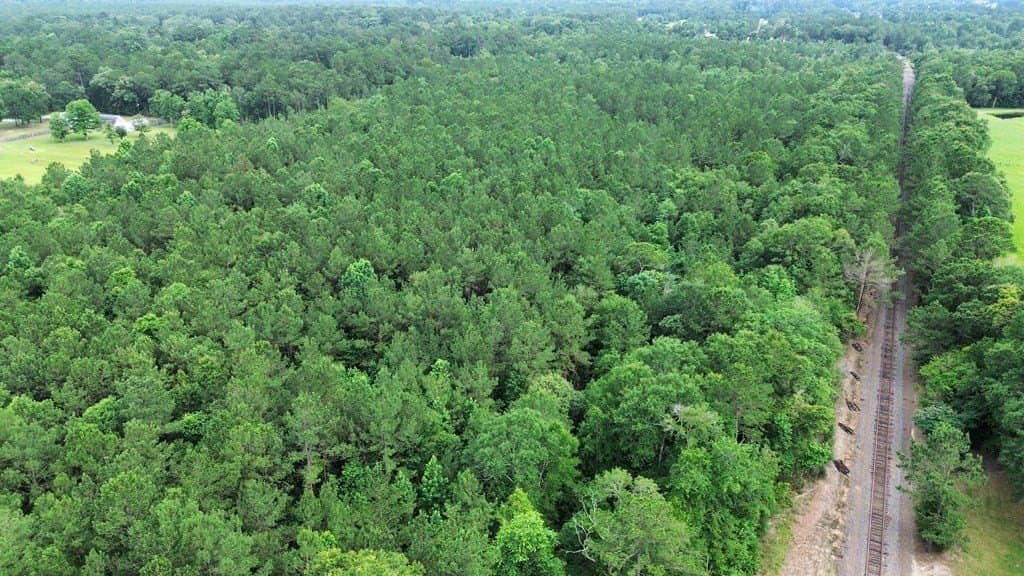 55.1 acres in Texas County - photo 15
