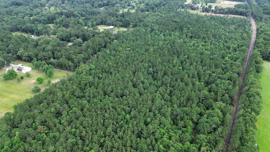 55.1 acres in Texas County gallery image 3