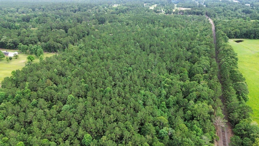 55.1 acres in Texas County - photo 11