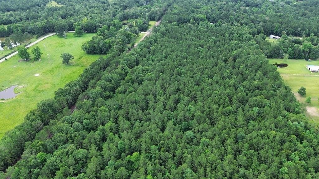 55.1 acres in Texas County