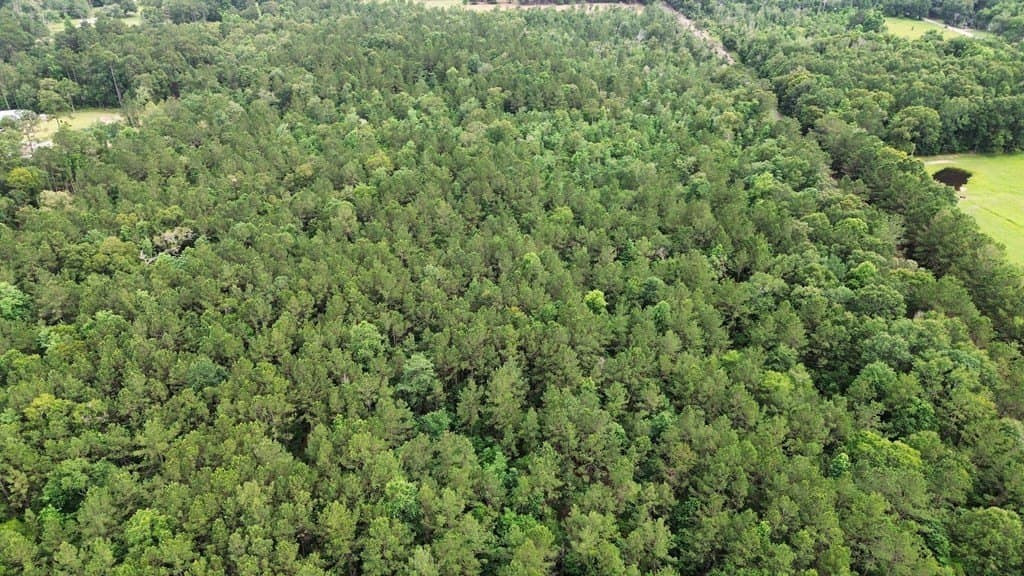 55.1 acres in Texas County - photo 10