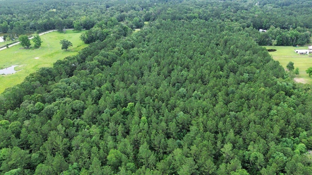 55.1 acres in Texas County - photo 6