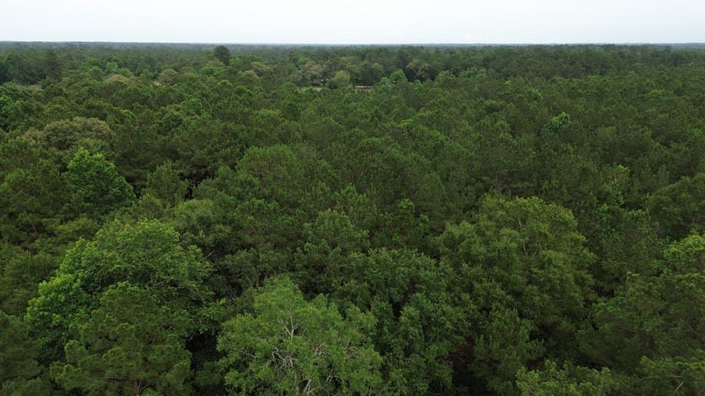 55.1 acres in Texas County - photo 16