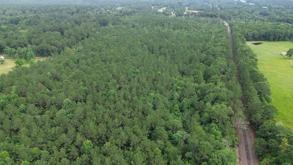 55.1 acres in Texas County - photo 13