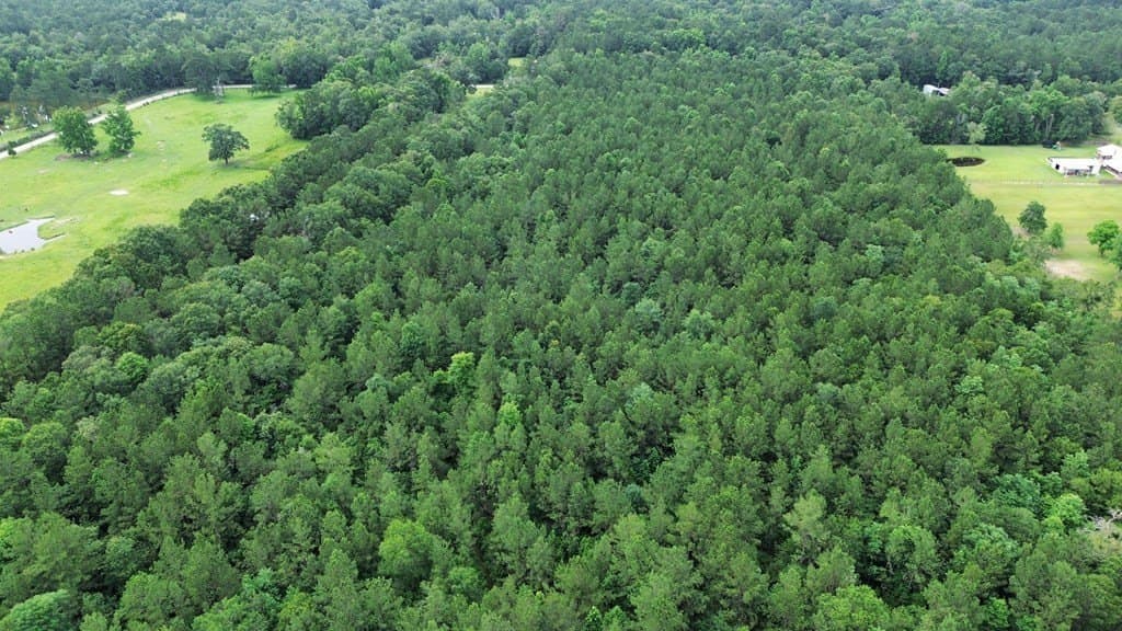 55.1 acres in Texas County featured view