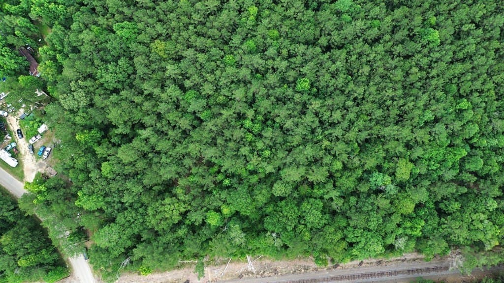 55.1 acres in Texas County - photo 18