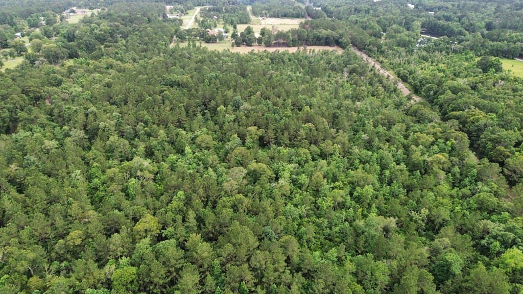 55.1 acres in Texas County - photo 8