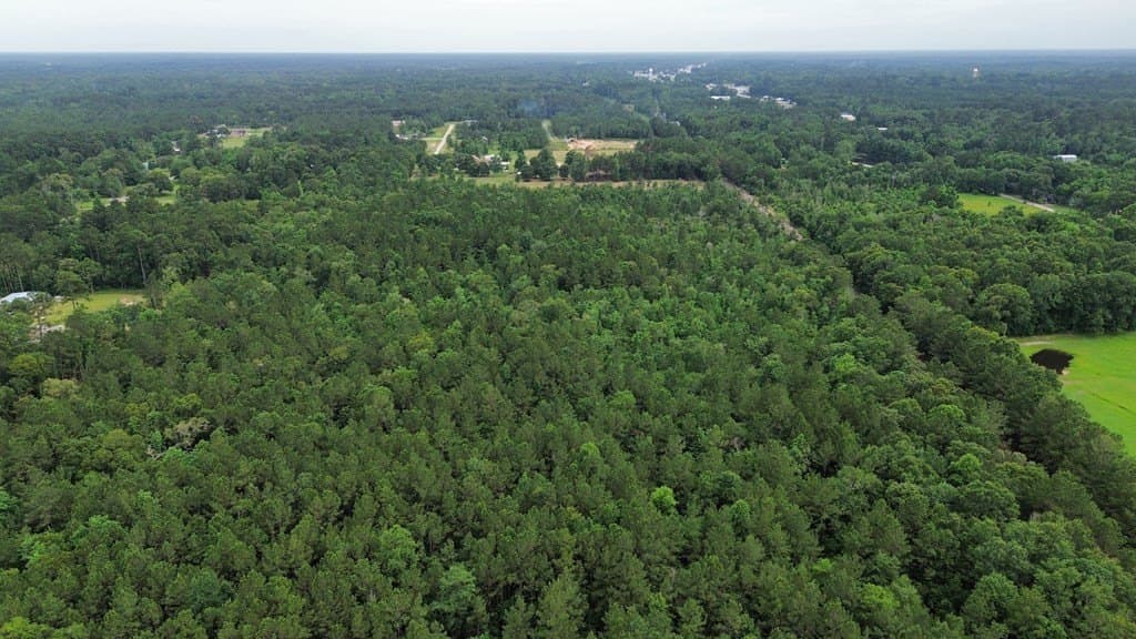 55.1 acres in Texas County - photo 9
