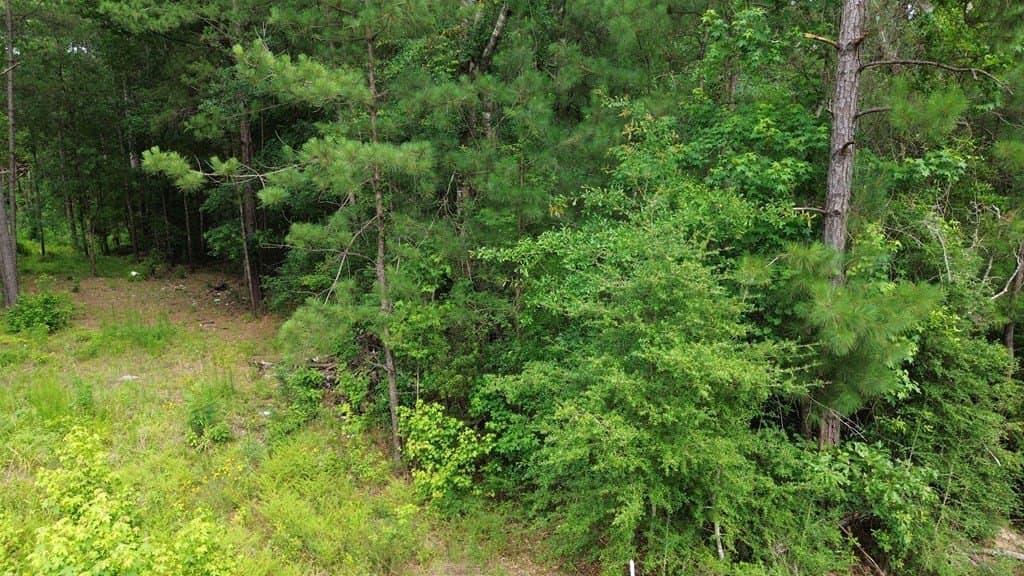 55.1 acres in Texas County - photo 19